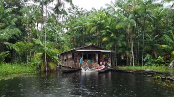 04/2019- Ação Gurupá (PA)